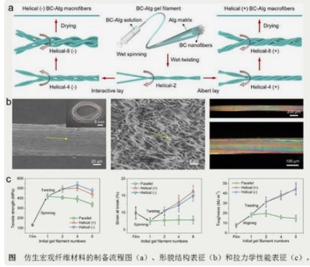 一种具有光催化抗菌性的细菌纤维素基复合材料